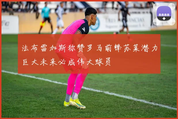 法布雷加斯称赞罗马前锋苏莱潜力巨大未来必成伟大球员